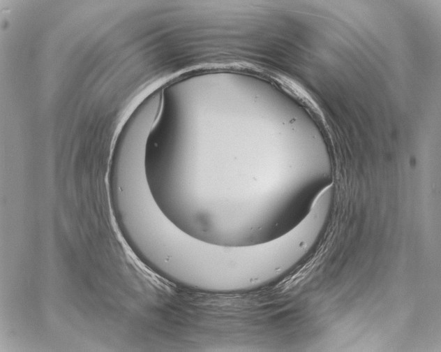 X0000061720951200512302116