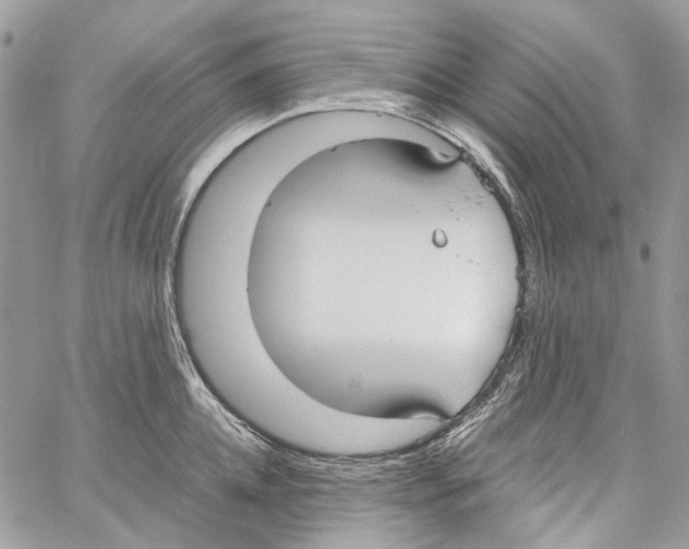 X0000061720952200512302116