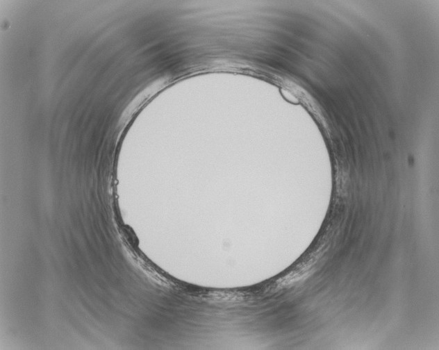 X0000061720954200512302116