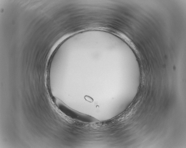 X0000061720955200512302116