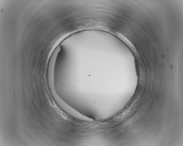 X0000061720956200512302116