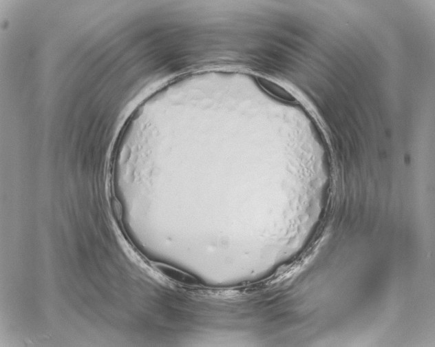 X0000061720957200512302116