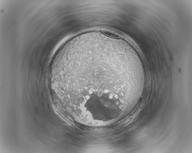 X0000061720958200512302116