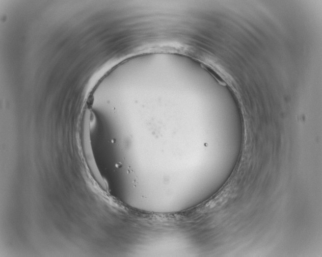 X0000061720960200512302116