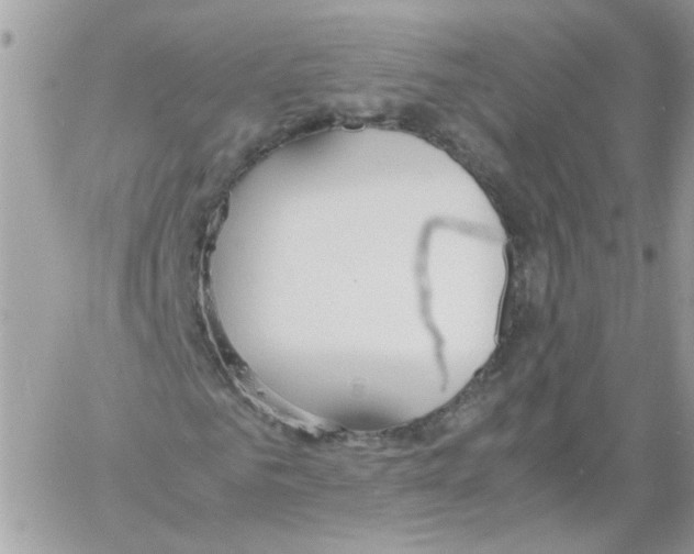 X0000061720961200512302116