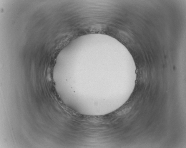 X0000061720962200512302115