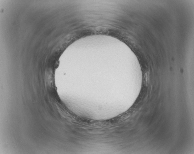 X0000061720963200512302115