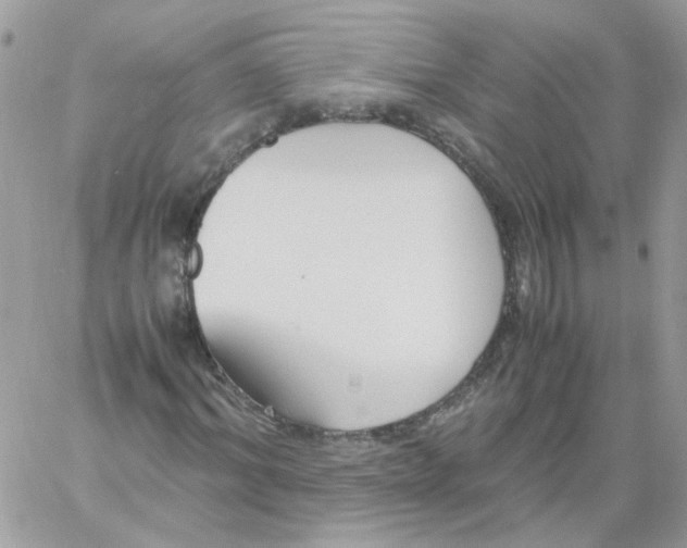 X0000061720964200512302115