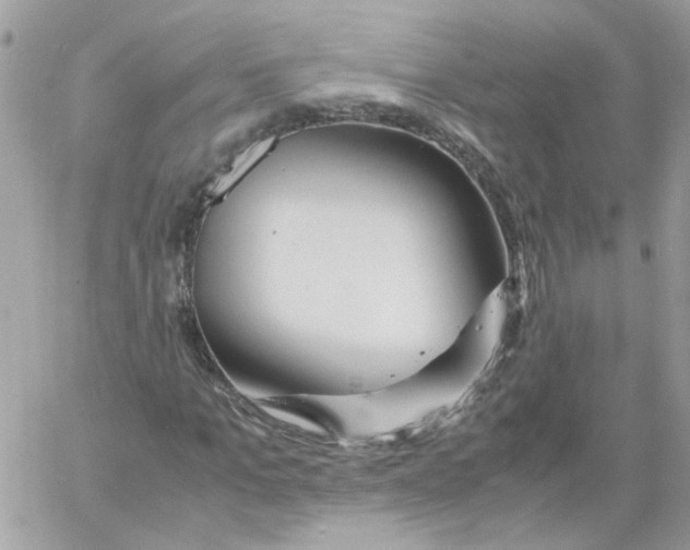 X0000061720965200512302115