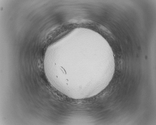 X0000061720966200512302115