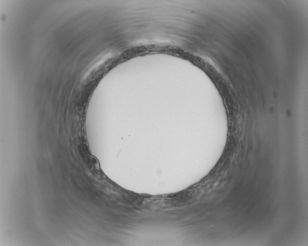 X0000061720967200512302115