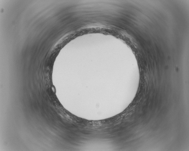 X0000061720968200512302115