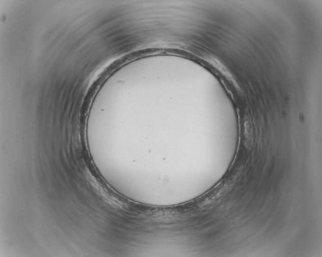 X0000061720972200512302115