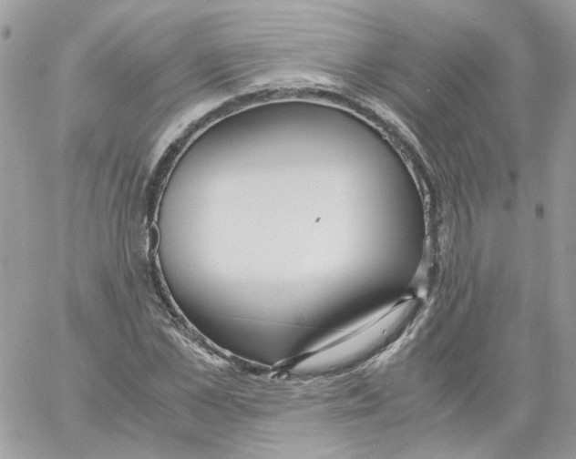 X0000061720973200512302115