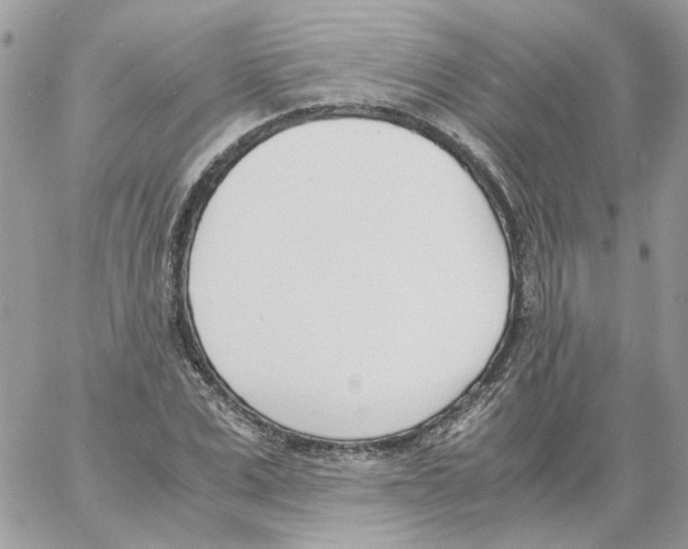 X0000061720975200512302115