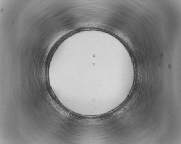 X0000061720976200512302115