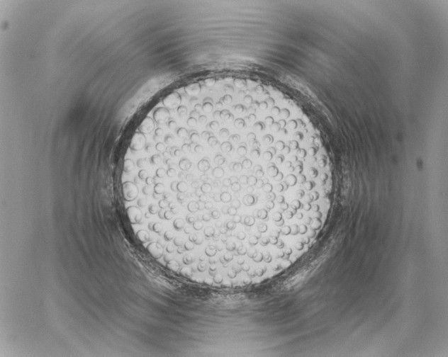 X0000061720978200512302115