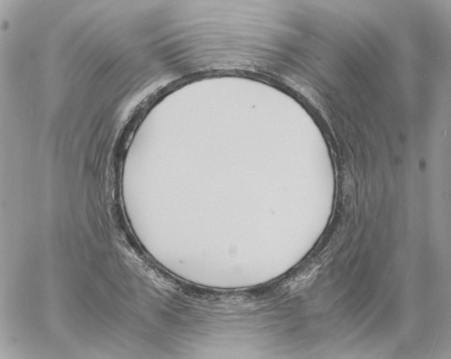 X0000061720979200512302115