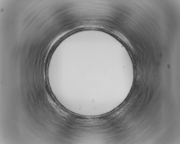 X0000061720980200512302115