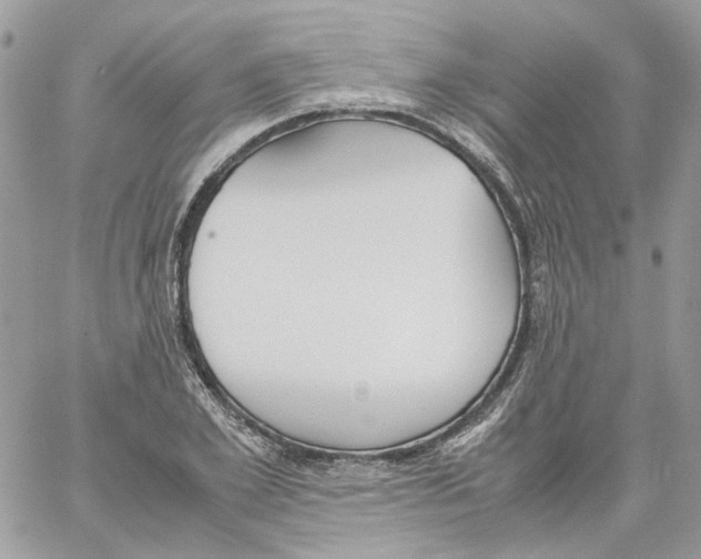 X0000061720981200512302115