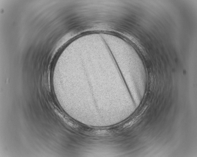 X0000061720982200512302115