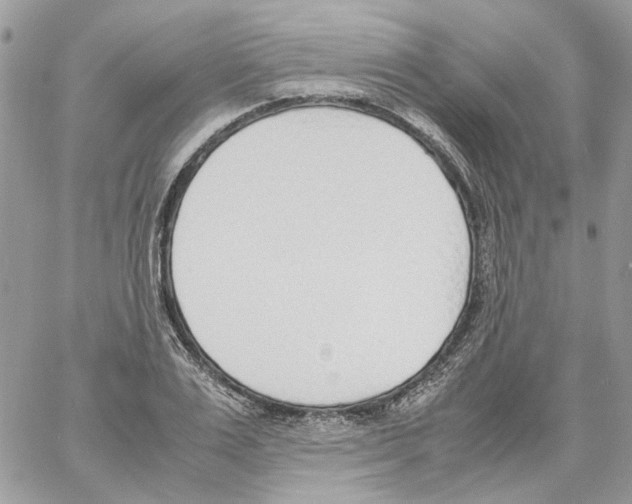 X0000061720983200512302115