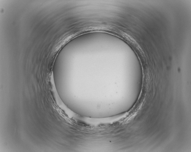 X0000061720985200512302115