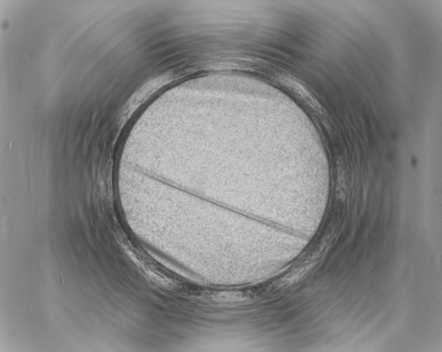 X0000061720986200512302115