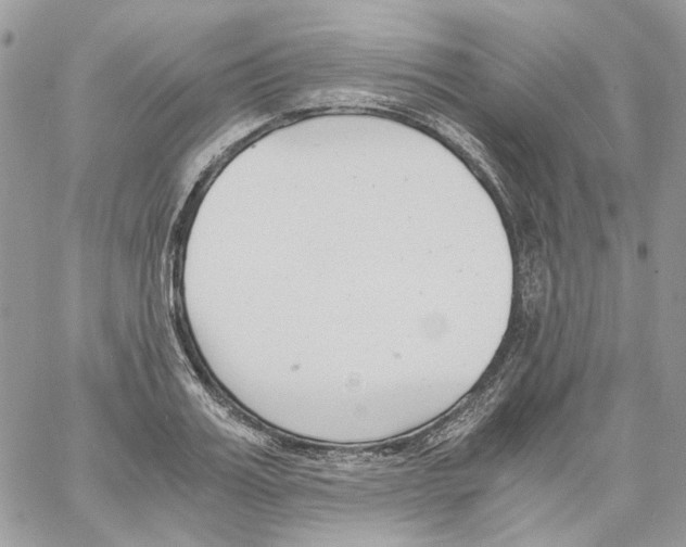 X0000061720987200512302115