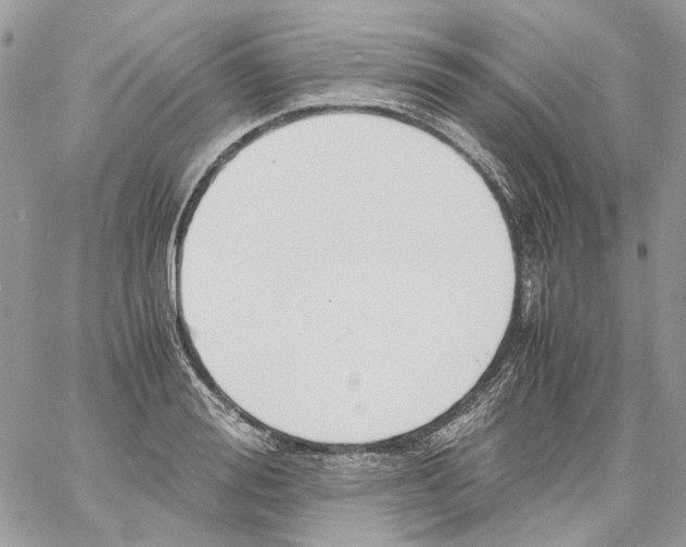 X0000061720988200512302115