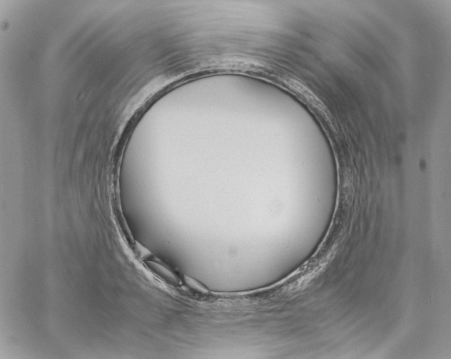 X0000061720989200512302115