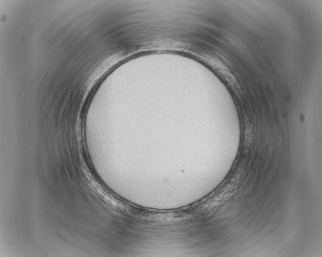 X0000061720990200512302115