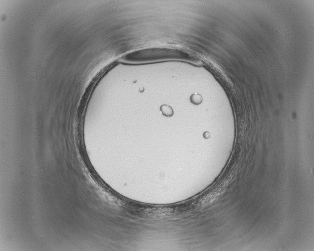 X0000061720991200512302115