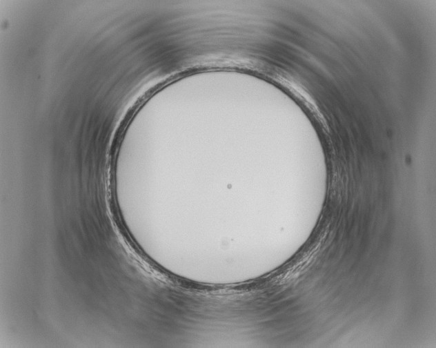 X0000061720992200512302115