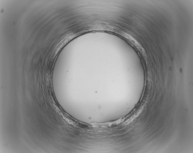 X0000061720993200512302115