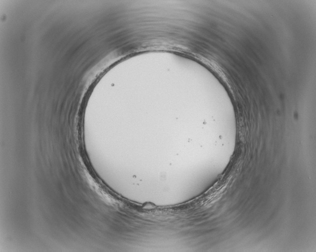 X0000061720995200512302115