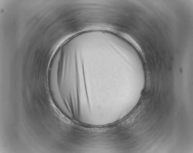 X0000061720996200512302115