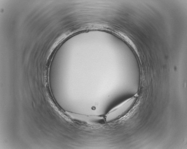 X0000061720997200512302115