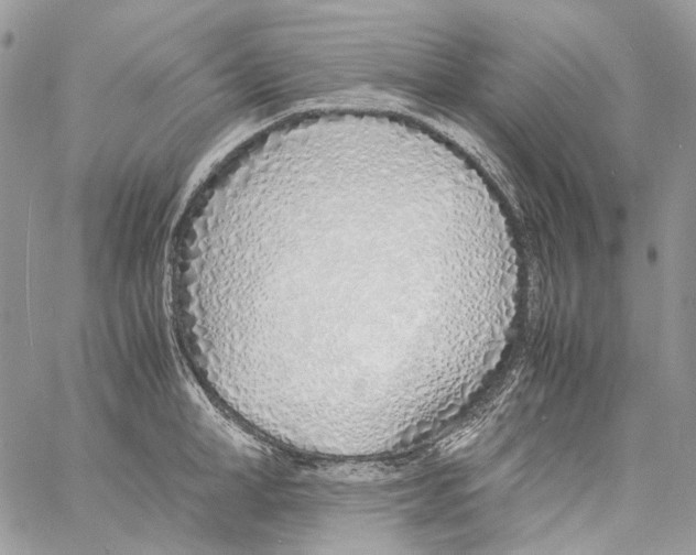 X0000061720998200512302115