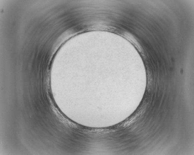 X0000061721000200512302115