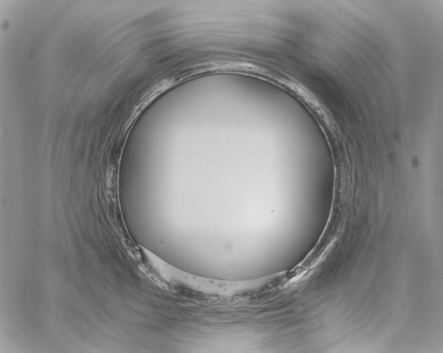 X0000061721001200512302115