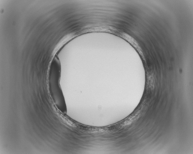 X0000061721002200512302115