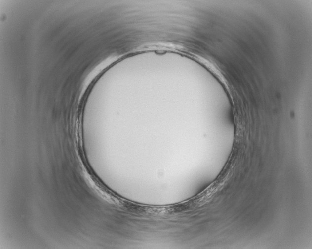 X0000061721003200512302115