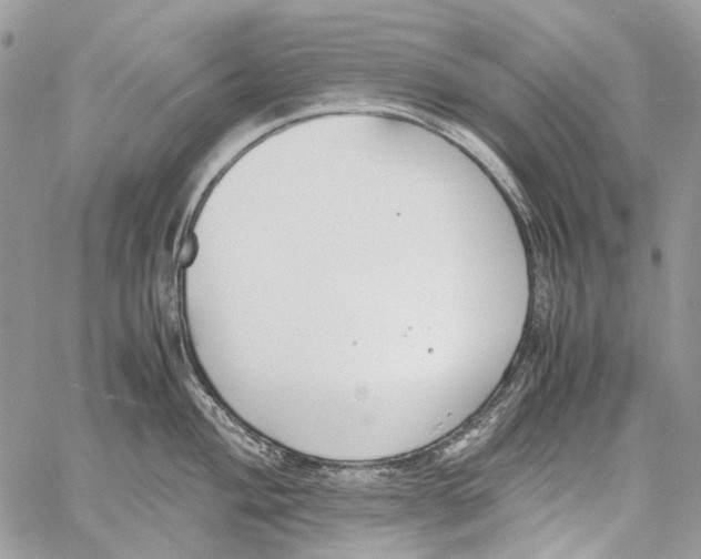 X0000061721004200512302115