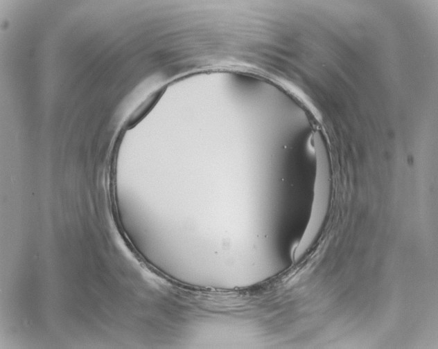 X0000061721007200512302115