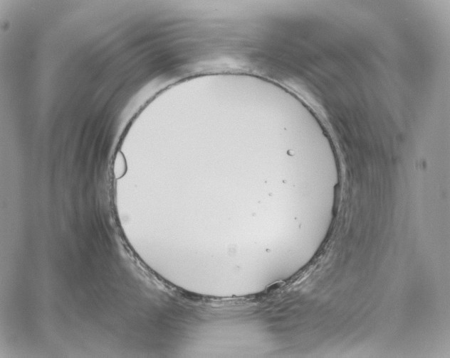 X0000061721008200512302115