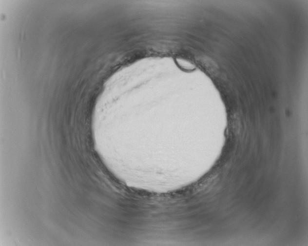 X0000061721009200512302114