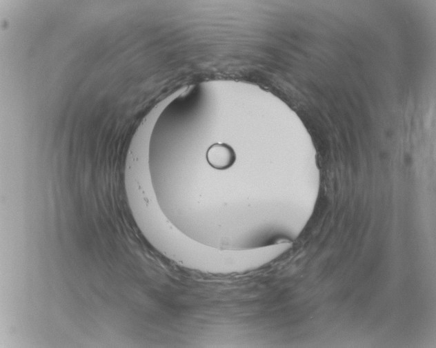 X0000061721010200512302114