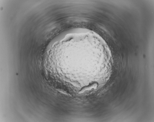 X0000061721013200512302114