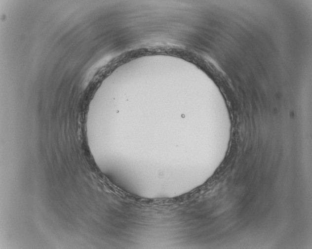 X0000061721016200512302114